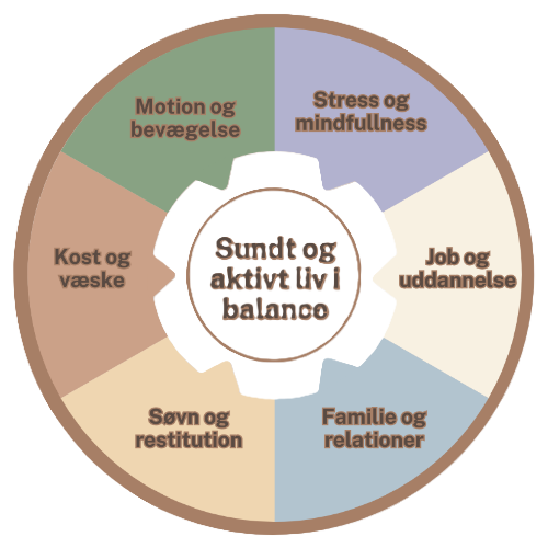 mdec.dk - Cirkeldiagram - Det hele menneske