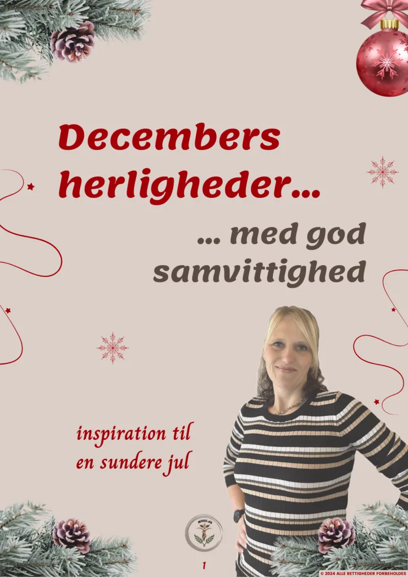 E bog decembers herligheder